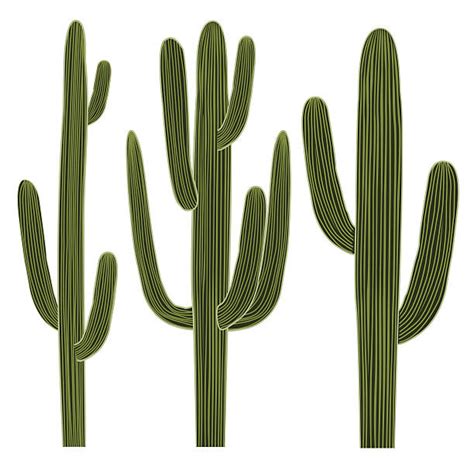Arizona Cactus Clipart 10 Free Cliparts Download Images On Clipground