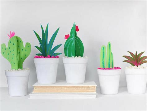30 Cactus Classroom Theme Ideas Weareteachers