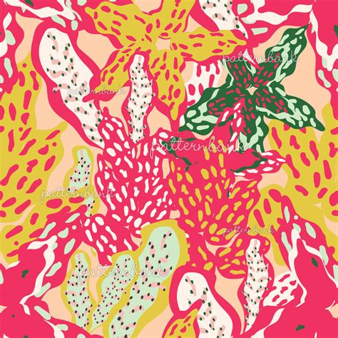 Colorful Exotic Flora By Anna Tseshkovskaya Seamless Repeat Vector