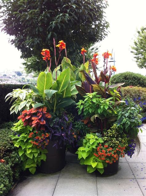 Stunning Container Garden Ideas For Landscape Tropical