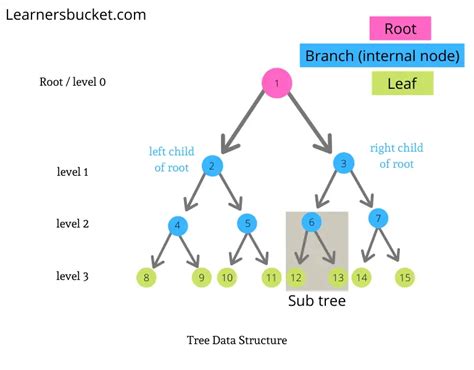 Find Height And Width Of Binary Tree Learnersbucket
