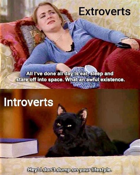 50 Funny Introvert Memes That Will Make You Say Omg Thats Me 2023