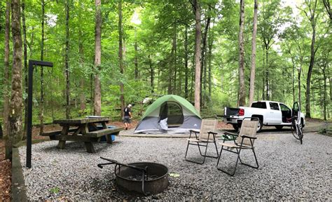 Davidson River Campground Go Camping America