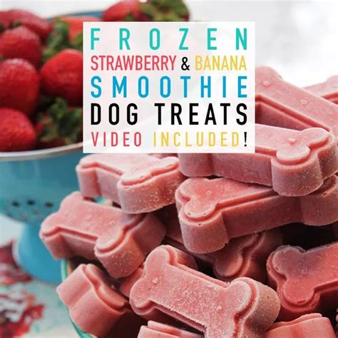 A few bacon bits will give the biscuits a taste your doggie will like and have few added calories when used sparingly. Frozen Strawberry and Banana Smoothie Dog Treats | Recipe ...