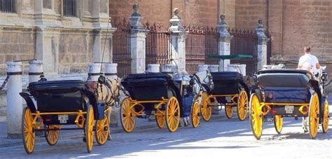 Reservar Paseo Coche De Caballos En Sevilla 2023 🐴 Alquiler Coches De