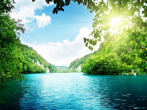 Sunshine Between Leaves Green Mountains Hd Wallpaper Hd Nature Wallpapers