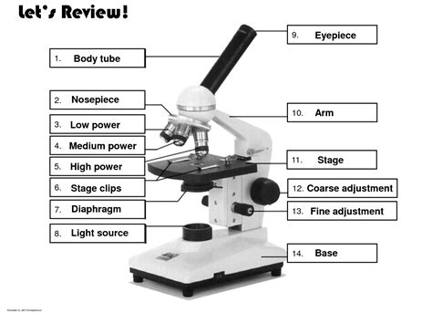 Compound Light Microscope Parts And Functions Worksheet ...