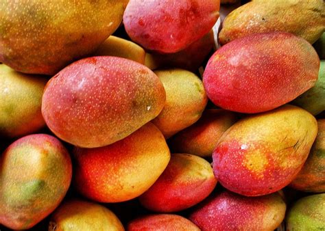 Product Fundo Los Paltos Sac Mangoes From Peru