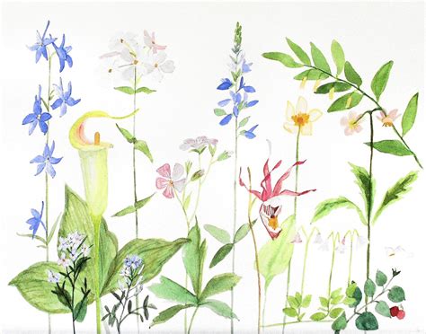 Botanical Garden Flower Watercolor Acrylic Oil Original Painting Nature