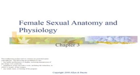 Free Download Female Sexual Anatomy And Physiology Powerpoint Presentation Slides