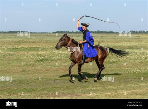 A Hungarian Csikos Cowboy Cracks His Whip While Riding His Horse