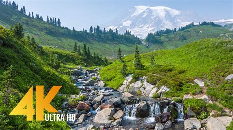 4k Mount Rainier Pacifying Stream 4k Relax Video Proartinc