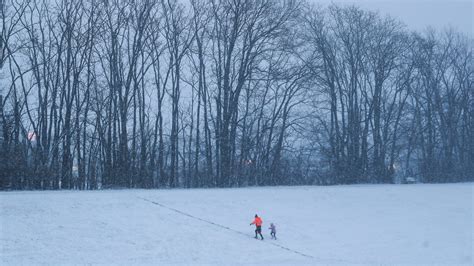 Kentucky snow totals: How much snow did Louisville, Southern IN get?