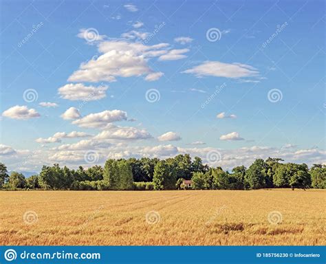 Countryside Panorama Landscape With Blue Sky With Small Clouds Above A