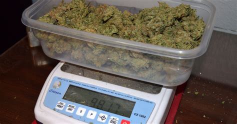 Study: Coloradans to smoke 2.2M ounces of pot in '14