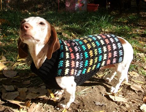 Copper Llama Studio Rainbow Crochet Dog Sweater