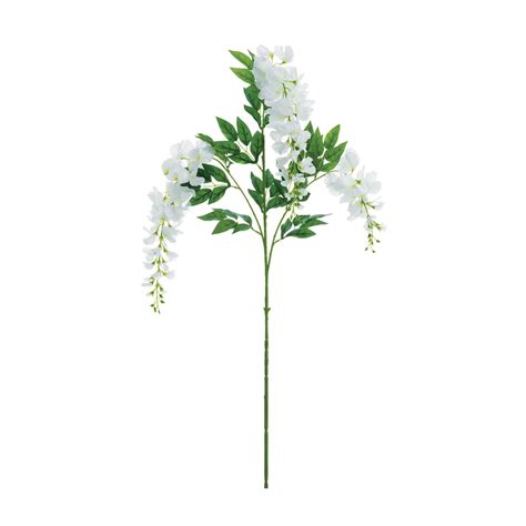 buy in bulk 24 pack white wisteria spray michaels