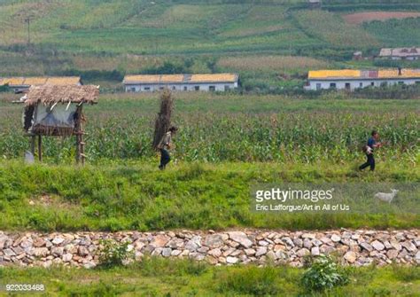 North Korean Countryside Photos And Premium High Res Pictures Getty