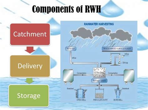 Components Of Rainwater Harvesting Download Scientific Diagram