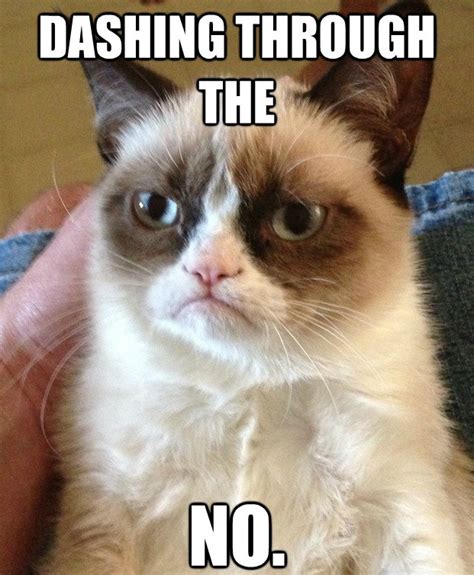 The 20 Best Grumpy Cat Memes Joes Daily