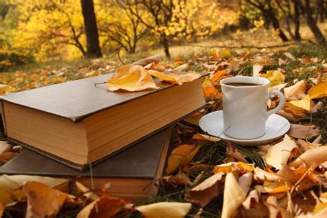 Осень И Книги Картинки Красивые Telegraph
