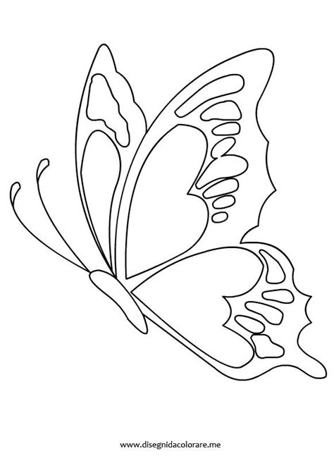 A Drawing Of A Butterfly On A White Background
