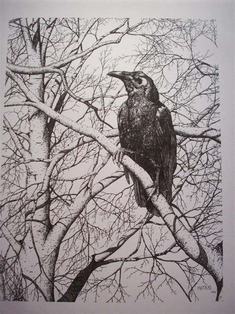 Raven Pen And Ink Print Gene Matra Pen And Ink Drawings