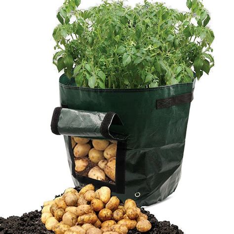Graden 50l Large Capacity Potato Grow Planter Vegetable Bags Taro Sweet