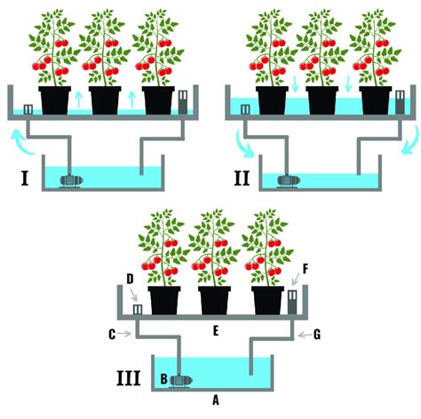 An Ebb And Flow Or Flood And Drain Hydroponic System In Which Nutrient