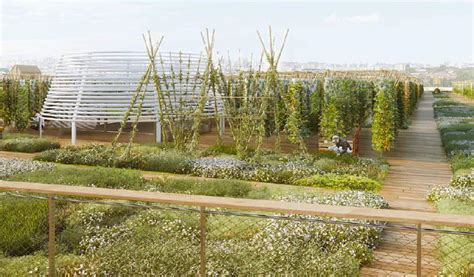 The Largest Urban Rooftop Farm In The World Is Now Bearing Fruit And