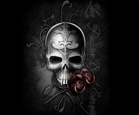 Gothic Skull Skull Art Vampire Skull Skull Pictures