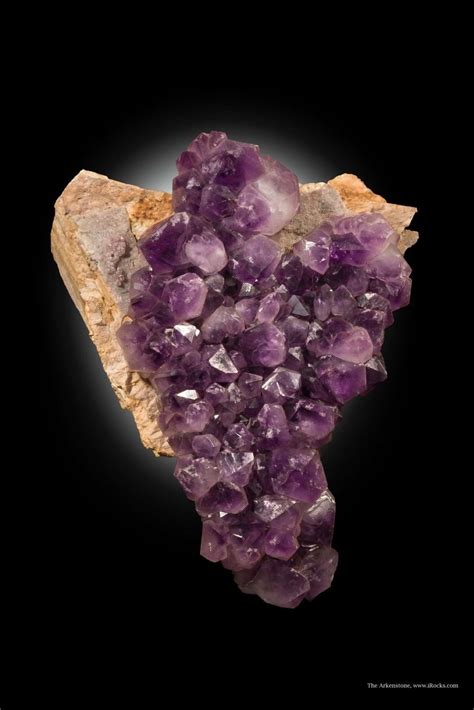 Large, Fat Australian Quartz var. Amethyst | iRocks Fine Minerals