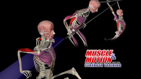 The clean and jerk comprises two distinct movements. Muscle Up, Kettlebell Clean and Jerk, Bench Dip and more ...