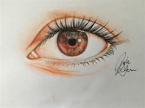 How To Draw A Human Eye