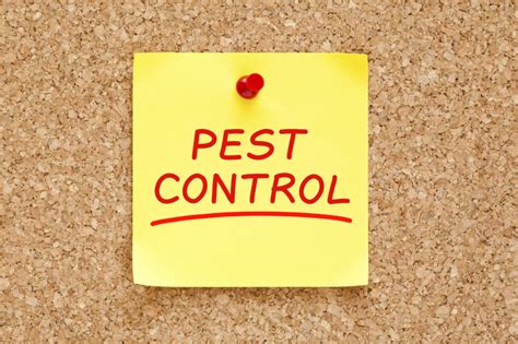 Residential Pest Control Bed Bugs Jenkins Pest Control