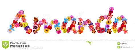 We did not find results for: Nombre Amanda De Las Flores Stock de ilustración ...