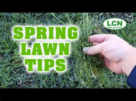 If your lawn has weeds, identifying what they are will help you eliminate them. Spring Lawn Fertilizing & Weed Control Tips 2017 - YouTube
