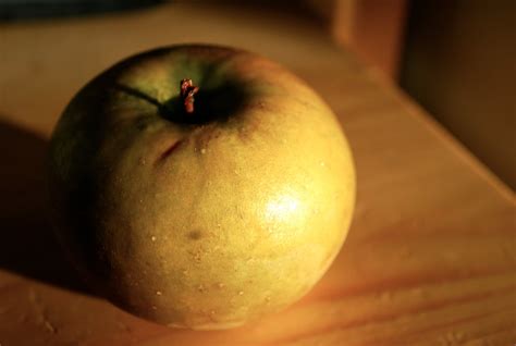 bread pudding with apples and dried cranberries brooklyn supper