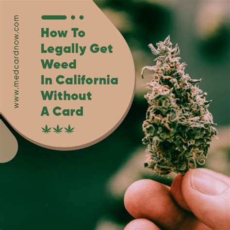 Buying weed online in california is easy for both recreational users and registered patients who need medical marijuana. How to Legally Get Weed in California Without a Card - Med Card Now