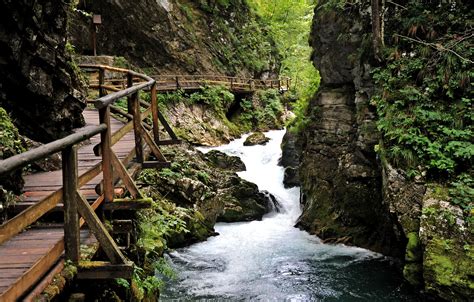 The Vintgar Gorge Visit Slovenia Lake Bled Bled Slovenia