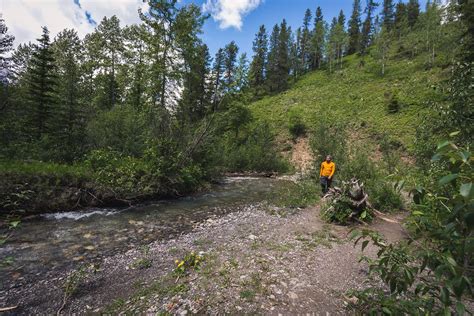 How To Hike To Allison Creek Falls In The Crowsnest Pass — Seeing The