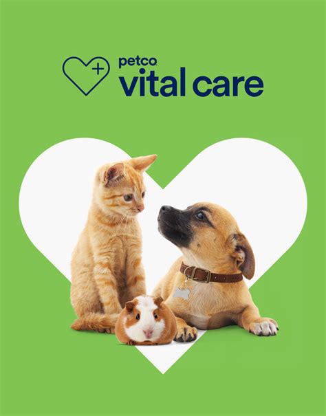 Steps to Cancel Your Petco Vital Care Plan