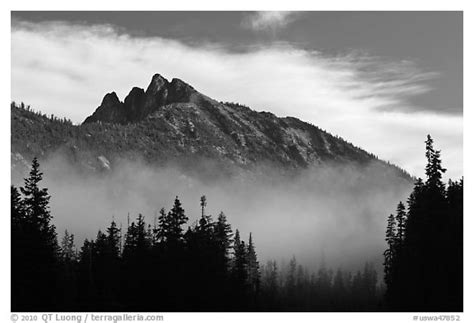 Black And White Picturephoto Whistler Mountain Emerging