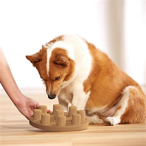 Ottosson, the swedish founder of the brand, has been committed to physically and mentally stimulating dogs with interactive toys since 1990. Nina Ottosson Smart Puzzle Dog Toy - Composit... | BaxterBoo