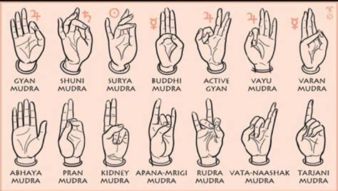Cool Finger Mudras In Yoga