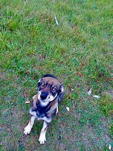 Диета 13 девочке Почему не везёт этой милейшее девочке-подростку, | Инцидент Владимир Почему не везёт этой милейшее девочке-подростку, | Инцидент Владимир Диета 13 девочке