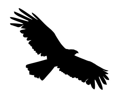 Top 100 Flying Eagle Silhouette Tattoo