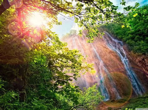 Forest Waterfall World Most Famous Waterfall Landscape Wallpaper