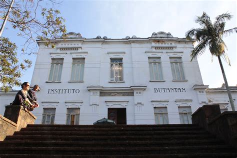 Instituto butantan (in modern portuguese, instituto butantã,1 pronounced ĩʃtʃiˈtutu butɐ̃ˈtɐ̃) is a instituto butantan is a public institution affiliated with the são paulo state secretariat of health and. Novo Anti-inflamatório - Instituto Butantan | Saúde Do Bem