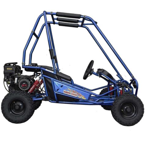 Tm Trailmaster Mini Xrs Kids Go Cart Kart Off Road Dune Buggy